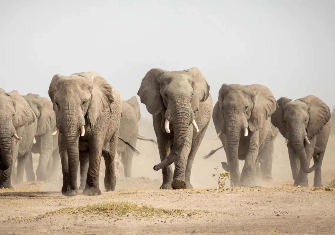 “Gökkuşağı Faşizmi” Belgeseli : AKP’nin Projeksiyonu